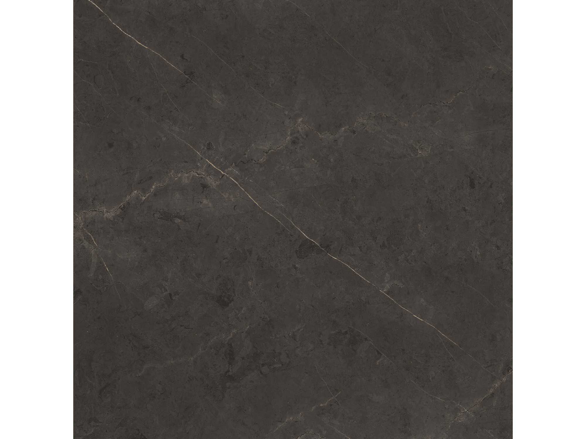 Teracota pentru podea KarachI Grey 120X120